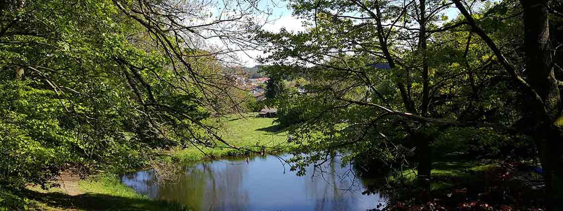 Teich an der Weschnitzquelle im Naturpark Odenwald-Bergstraße (Foto: Ingo Bauer)