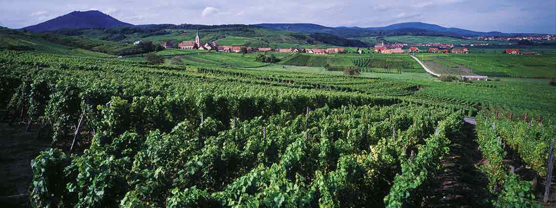 Blienschwiler im Elsass (Autor: CRTA Zvardon)